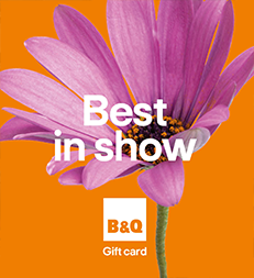 Best in Show Personalised