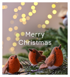 Christmas Robin UK Personalised