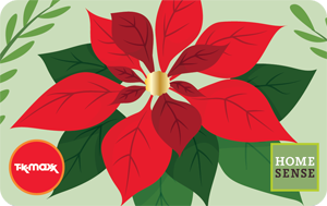 Christmas Poinsettia UK