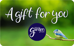 Bluetit A Gift for You - NEW