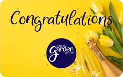 Congratulations fiz tulips - NEW