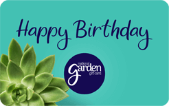 Happy Birthday Succulent - NEW