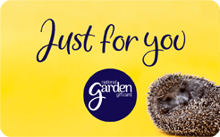 Hedgehog Just for You - NEW