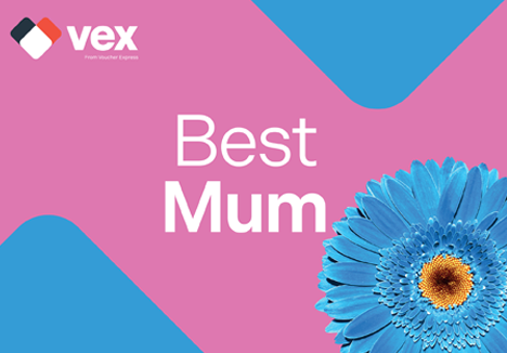 Best Mum Flower Insert